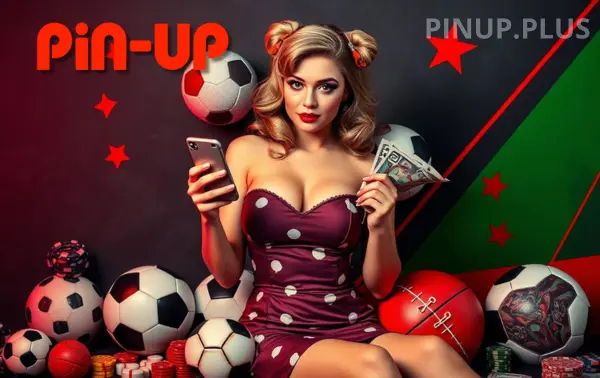 Application features and Pin-Up security